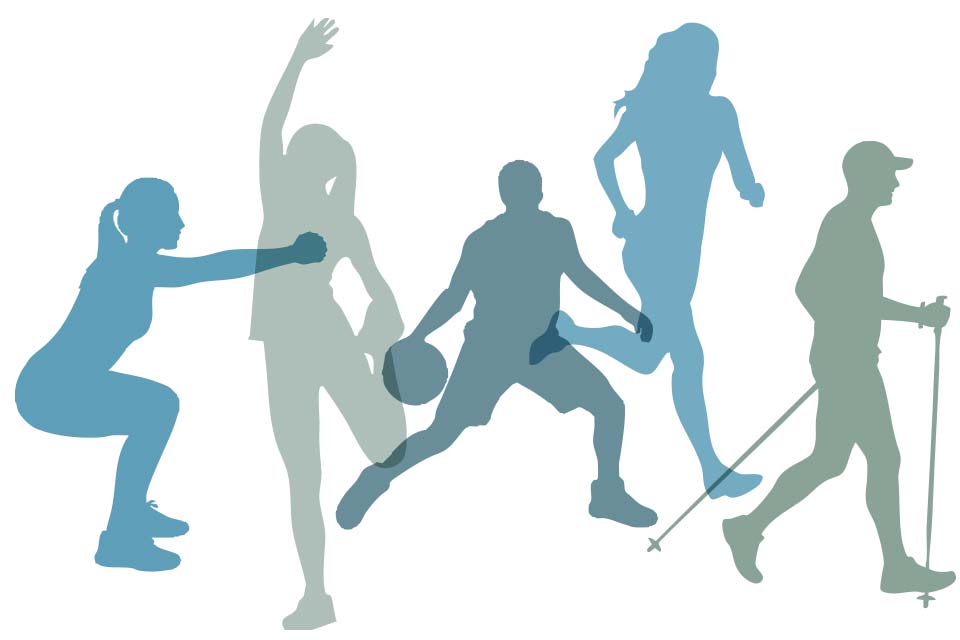 grafische Darstellung des Innenohres